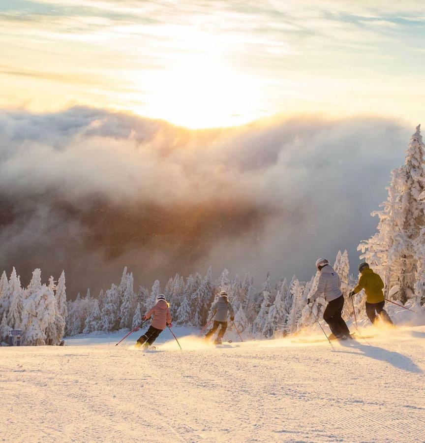 Amazing Lakemountain View 5Min To Tremblant439 モントランブラン エクステリア 写真